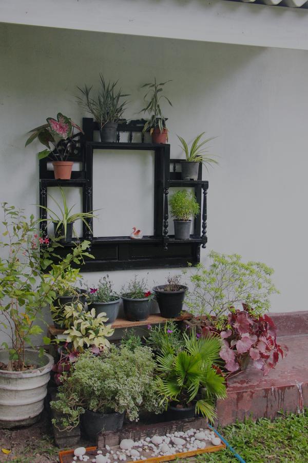 Coco Home Negombo Bagian luar foto