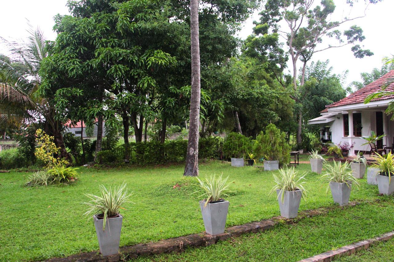 Coco Home Negombo Bagian luar foto