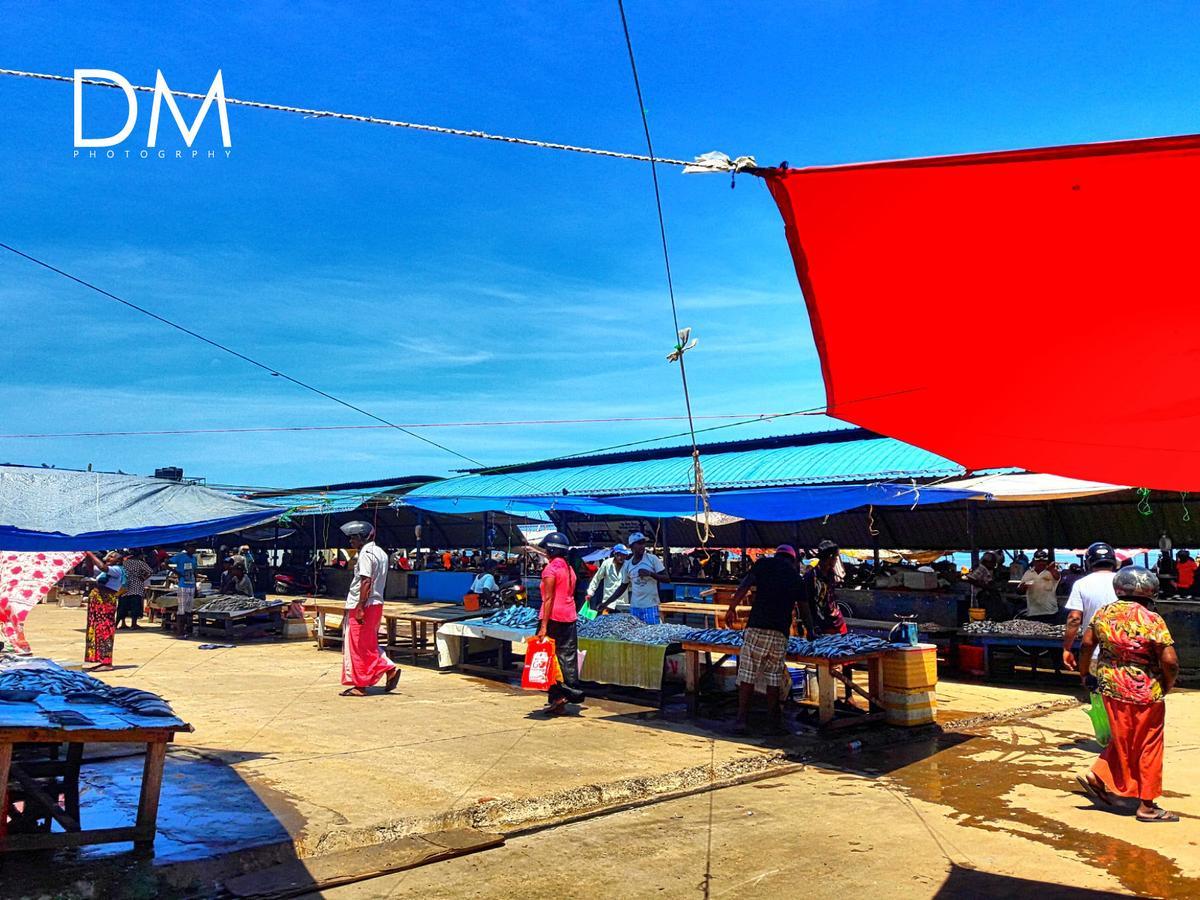 Coco Home Negombo Bagian luar foto